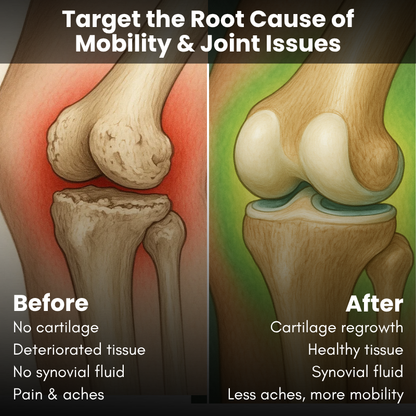 Joint & Mobility Gummies